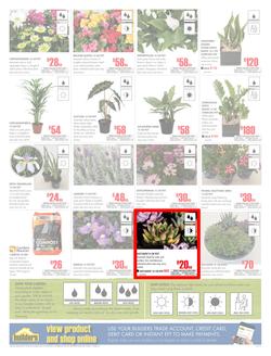 Builders Western Cape : Dig It This Spring (29 Aug - 8 Oct 2017), page 2