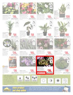 Builders Western Cape : Dig It This Spring (29 Aug - 8 Oct 2017), page 2