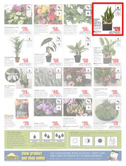 Builders Western Cape : Dig It This Spring (29 Aug - 8 Oct 2017), page 2