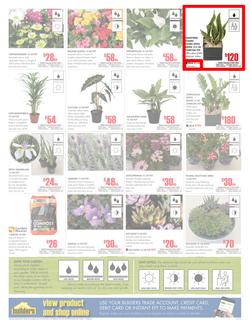 Builders Western Cape : Dig It This Spring (29 Aug - 8 Oct 2017), page 2
