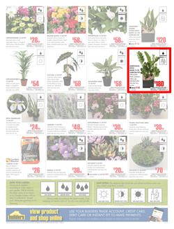 Builders Western Cape : Dig It This Spring (29 Aug - 8 Oct 2017), page 2