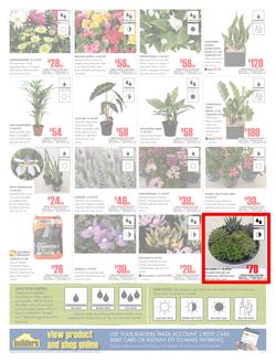 Builders Western Cape : Dig It This Spring (29 Aug - 8 Oct 2017), page 2