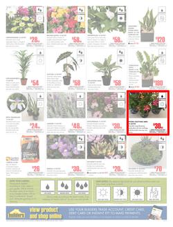 Builders Western Cape : Dig It This Spring (29 Aug - 8 Oct 2017), page 2