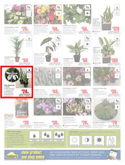 Builders Western Cape : Dig It This Spring (29 Aug - 8 Oct 2017), page 2