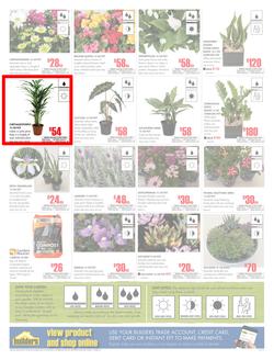 Builders Western Cape : Dig It This Spring (29 Aug - 8 Oct 2017), page 2
