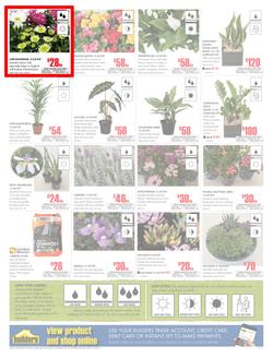 Builders Western Cape : Dig It This Spring (29 Aug - 8 Oct 2017), page 2