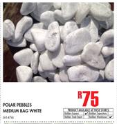 Polar Pebbles Medium Bag White