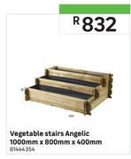 Vegetable Stairs Angelic-1000mm x 800mm x 400mm