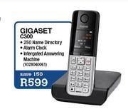 Gigaset (C300)