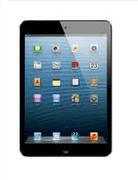 16GB iPad Mini With WiFi 