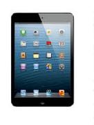 32GB iPad Mini With WiFi 
