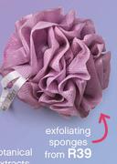 Sorbet Exfoliating Sponges-Each