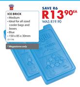 Seagull Ice Brick-150 x 85 x 30mm Each