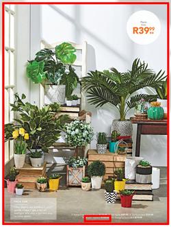 Sheet Street : Summer Is Here (21 Nov - 2 Dec 2018), page 15