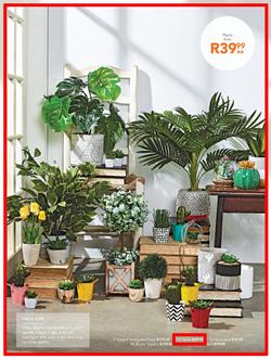 Sheet Street : Summer Is Here (21 Nov - 2 Dec 2018), page 15