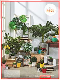 Sheet Street : Summer Is Here (21 Nov - 2 Dec 2018), page 15