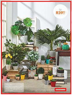 Sheet Street : Summer Is Here (21 Nov - 2 Dec 2018), page 15