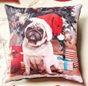 Pug Scatter 50X50