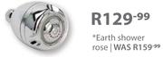 Earth Shower Rose