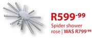 Spider Shower Rose