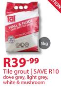 Tile Grout-5Kg