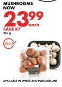 Mushrooms-250g Each
