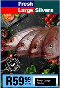 Fresh Large Silvers-Per Kg
