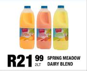 Spring Meadow Dairy Blend-2L
