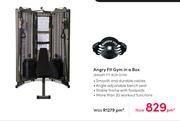 Angry Fit Gym In A Box