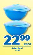Salad Bowl + Lid-Each