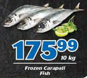 Frozen Carapali Fish-10Kg
