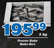 Frozen Baby Hake Box-5 Kg