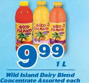 Wild island Dairy Blend Concentrate Assorted-1L Each