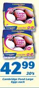 Cambridge Food Large Eggs-30's Each