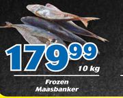 Frozen Massbanker-10Kg