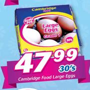 Cambridge Food Large Eggs-30's