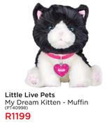 Little Live Pets My Dream Kitten-Muffin PT40998