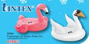 Intex Flamingo Or Swan Ride On IN57558NP, IN57557NP-Each