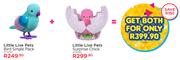 Little Live Pets Bird Single Pack(PT15787)+Little Live Pets Surprise Chick(PT16138)-For Both