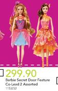 Barbie Secret Door Feature Co-Lead 2 Assorted