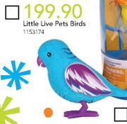 Little Live Pets Birds