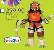 TMNT 28Cm Dojo Figure