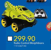 Radio Control Morphibians