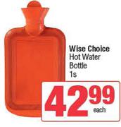 Wise Choice Hot Water Bottle-Each