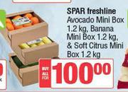 Spar Freshline Avocado Mini Box 1.2kg, Banana Mini Box 1.2kg, & Soft Citrus Mini Box 1.2kg-For All