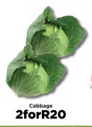 Cabbage-For 2