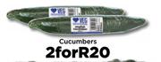 Cucumbers-For 2