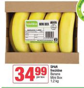 Spar Freshline Banana Mini Box-1.2Kg Per Box
