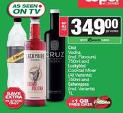 Cruz Vodka 750ml & Luckbird Cocktail Mixer 750ml & Schweppes 1L-Per Combo