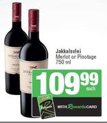 Jakkalsvlei Merlot Or Pinotage-750ml Each